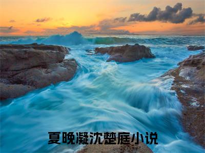 夏晚凝沈楚庭（夏晚凝沈楚庭）是什么小说-小说夏晚凝沈楚庭全文阅读