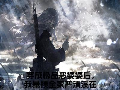 穿成极品恶婆婆后，我暴揍全家严清溪小说大结局-精彩美文穿成极品恶婆婆后，我暴揍全家严清溪免费阅读