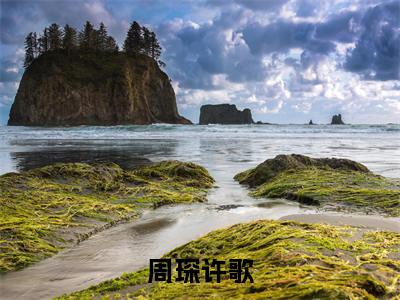 免费小说（周琛许歌）全文无弹窗阅读 周琛许歌大结局免费阅读无弹窗