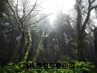 简栀意温京宴小说（简栀意温京宴）全文免费阅读无弹窗大结局_(简栀意温京宴小说免费阅读)简栀意温京宴小说最新章节列表_笔趣阁