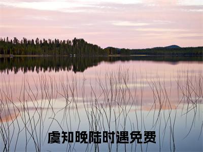 虞知晚陆时遇全集免费阅读无弹窗_虞知晚陆时遇完结小说榜单阅读（虞知晚陆时遇小说）