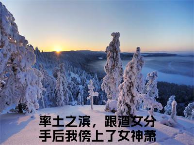 率土之滨，跟渣女分手后我傍上了女神萧云（率土之滨，跟渣女分手后我傍上了女神萧云）全文免费阅读大结局-率土之滨，跟渣女分手后我傍上了女神萧云最新章节列表笔趣阁