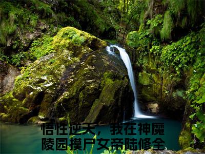 悟性逆天，我在神魔陵园摸尸女帝陆修（悟性逆天，我在神魔陵园摸尸女帝陆修）在线阅读大结局-悟性逆天，我在神魔陵园摸尸女帝陆修小说最新章节阅读-笔趣阁