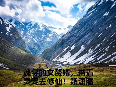 魂穿的女赘婿，带着灵宠去修仙！魏潇朦小说（魂穿的女赘婿，带着灵宠去修仙！魏潇朦）全文免费阅读无弹窗大结局_（魂穿的女赘婿，带着灵宠去修仙！魏潇朦）魂穿的女赘婿，带着灵宠去修仙！魏潇朦小说免费阅读无弹窗最新章节列表_笔趣阁（魂穿的女赘婿，带着灵宠去修仙！魏潇朦）