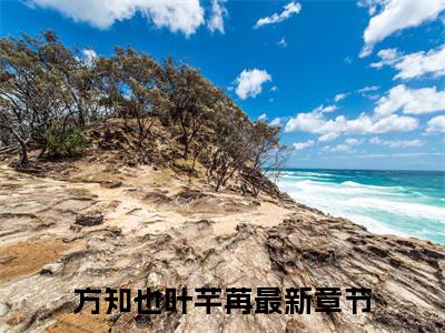 方知也叶芊苒全文小说-方知也叶芊苒小说最新章节免费阅读