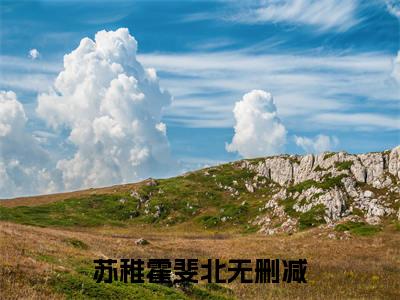 苏稚霍斐北最新更新热门榜单小说（苏稚霍斐北全集小说完整版笔趣阁）苏稚霍斐北全文阅读