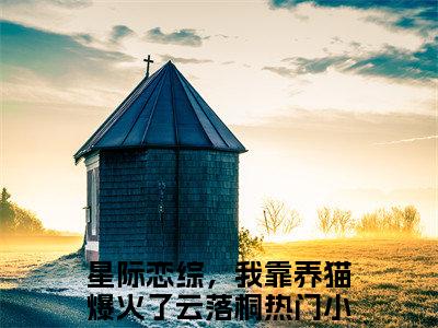 星际恋综，我靠养猫爆火了云落桐小说免费阅读无弹窗大结局，星际恋综，我靠养猫爆火了云落桐最新章节列表