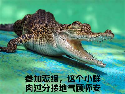 参加恋综，这个小鲜肉过分接地气顾怀安「精彩小说」无弹窗阅读 参加恋综，这个小鲜肉过分接地气顾怀安大结局阅读