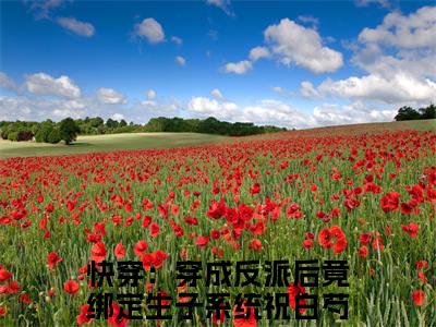 快穿：穿成反派后竟绑定生子系统祝白芍小说免费版最新更新阅读-快穿：穿成反派后竟绑定生子系统祝白芍全文免费阅读