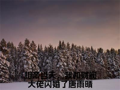 相亲当天，我和财阀大佬闪婚了唐雨晴小说最新章节（相亲当天，我和财阀大佬闪婚了唐雨晴）全文免费阅读无弹窗大结局_相亲当天，我和财阀大佬闪婚了唐雨晴免费阅读（相亲当天，我和财阀大佬闪婚了唐雨晴小说）
