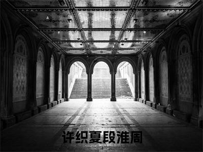 许织夏段淮周精选小说大结局阅读-最新小说(许织夏段淮周)全文阅读