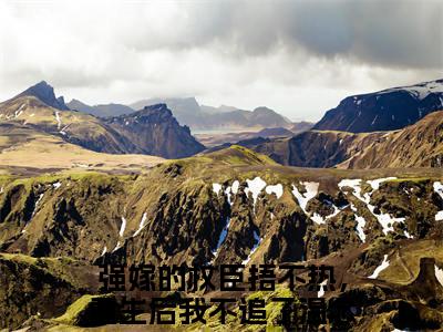 强嫁的权臣捂不热，重生后我不追了温念兮全文免费阅读_（强嫁的权臣捂不热，重生后我不追了温念兮免费阅读无弹窗）强嫁的权臣捂不热，重生后我不追了温念兮最新章节在线阅读