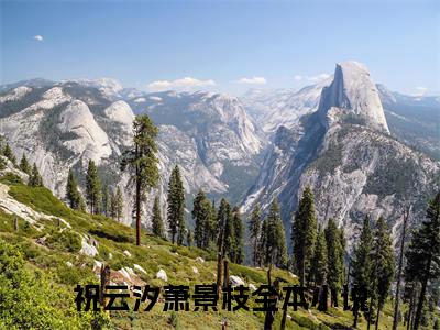 祝云汐萧景枝小说（祝云汐萧景枝）全文免费阅读结局-祝云汐萧景枝强推全文阅读无弹窗