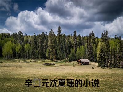 辛璟元沈夏瑶的小说（辛璟元沈夏瑶）全文免费阅读