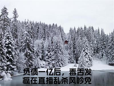 快手热推免费新书负债一亿后，毒舌发疯在直播乱杀风吟小说全文完整版-负债一亿后，毒舌发疯在直播乱杀风吟完整版全文在线赏析