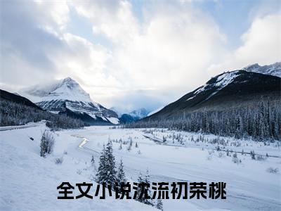 沈流初荣桃(沈流初荣桃)小说免费阅读大结局无弹窗_(沈流初荣桃)最新章节列表笔趣阁（沈流初荣桃）