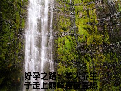 好书推荐小说好孕之路：美人靠生子走上巅峰崔嘉宜-好孕之路：美人靠生子走上巅峰崔嘉宜全文免费阅读大结局