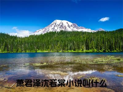萧君泽沈若棠精选小说大结局阅读-新上热文小说（萧君泽沈若棠）讲的是什么