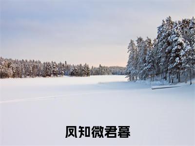 凤知微君暮小说叫什么名字（凤知微君暮）完整版大结局-凤知微君暮小说在线阅读
