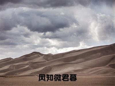 （凤知微君暮）是什么小说_主角是（凤知微君暮）的小说（凤知微君暮）最新章节列表_笔趣阁