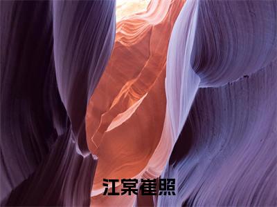 江棠崔照（江棠崔照）全文免费阅读无弹窗大结局_江棠崔照最新章节列表_笔趣阁