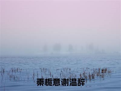 秦栀意谢温辞全文免费阅读无弹窗-秦栀意谢温辞小说最新章节列表