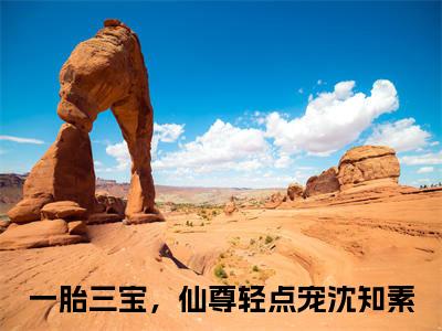 一胎三宝，仙尊轻点宠沈知素（一胎三宝，仙尊轻点宠沈知素无弹窗）全文免费阅读无弹窗大结局_一胎三宝，仙尊轻点宠沈知素最新章节列表_笔趣阁（一胎三宝，仙尊轻点宠沈知素无弹窗）