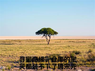 寻宝奇缘，仓库的宝贝都装不下了唐宋元阅读无弹窗大结局_（寻宝奇缘，仓库的宝贝都装不下了唐宋元阅读无弹窗）最新章节列表_笔趣阁（寻宝奇缘，仓库的宝贝都装不下了唐宋元）
