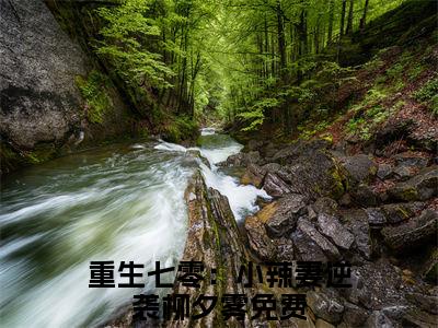 重生七零：小辣妻逆袭柳夕雾全文免费阅读（重生七零：小辣妻逆袭柳夕雾）全文免费阅读大结局_重生七零：小辣妻逆袭柳夕雾全文免费阅读无弹窗_笔趣阁