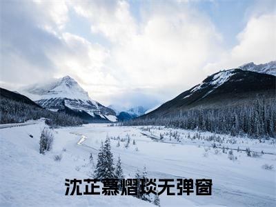 （沈芷慕熠琰免费+番外）这辈子都在苦苦纠缠高质量小说沈芷慕熠琰推荐阅读-这辈子都在苦苦纠缠小说最新章节