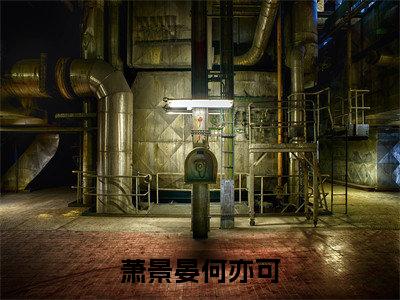 (番外)+(全文)萧景晏何亦可全文+番外小说免费下载阅读萧景晏何亦可全文+番外小说最新章节列表_笔趣阁（萧景晏何亦可全文+番外）