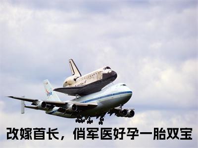 周薇陆彦（改嫁首长，俏军医好孕一胎双宝）全文免费阅读无弹窗大结局_（周薇陆彦）最新章节列表_笔趣阁