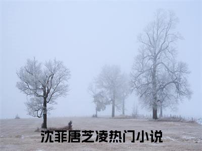 沈菲唐芝凌（主角是魂穿流犯废柴嫡女，带崽摆烂躺赢全文免费阅读无弹窗）_沈菲唐芝凌全文免费阅读无弹窗大结局