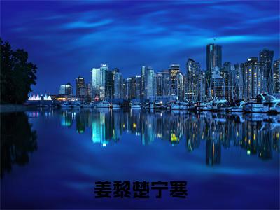 小说宠婢灭妻？世子妃携三宝杀穿侯府免费在线阅读-小说主角叫姜黎楚宁寒的小说完整版免费读全文