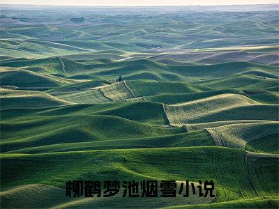 柳鹤梦池烟雪小说（柳鹤梦池烟雪）全文免费阅读无弹窗大结局_(柳鹤梦池烟雪)柳鹤梦池烟雪小说免费阅读无弹窗最新章节列表_笔趣阁（柳鹤梦池烟雪）
