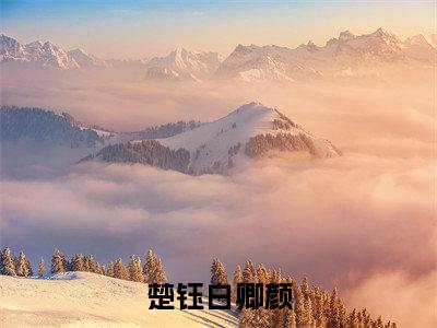 楚钰白卿颜（楚钰白卿颜）全文免费阅读无弹窗大结局_（楚钰白卿颜阅读无弹窗）楚钰白卿颜最新章节列表_笔趣阁（楚钰白卿颜）