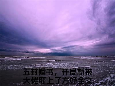 五封婚书，开局就被大佬盯上了方妤（五封婚书，开局就被大佬盯上了方妤）无广告免费阅读-小说五封婚书，开局就被大佬盯上了方妤最后结局如何