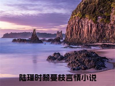 陆瑾时黎蔓枝免费正版小说完整版阅读-陆瑾时黎蔓枝最新章节在线阅读