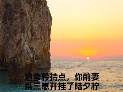（渣爹矜持点，你前妻携三崽开挂了陆夕柠推荐免费新书）渣爹矜持点，你前妻携三崽开挂了陆夕柠完整章节阅读-渣爹矜持点，你前妻携三崽开挂了陆夕柠全集小说完整版大结局