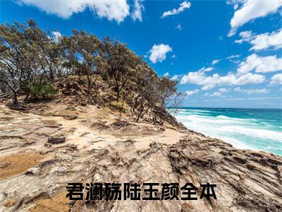 君澜殇陆玉颜（君澜殇陆玉颜）小说全文免费阅读_（君澜殇陆玉颜）小说全文无删减版在线阅读