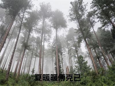 夏暖暖傅克己阅读无弹窗大结局_（夏暖暖傅克己阅读无弹窗）最新章节列表_笔趣阁（夏暖暖傅克己）