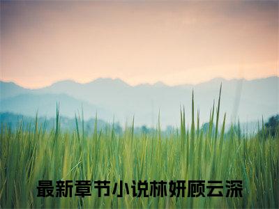 林妍顾云深热门小说全文免费阅读无弹窗大结局-林妍顾云深免费阅读大结局
