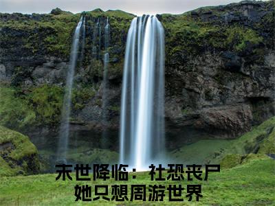 末世降临：社恐丧尸她只想周游世界（颜肆林琳）全文免费阅读无弹窗_末世降临：社恐丧尸她只想周游世界颜肆林琳最新章节免费阅读_笔趣阁