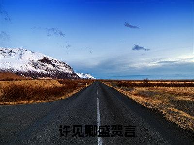 许见卿盛贺言的书名全文免费最后一章在线阅读 许见卿盛贺言全文小说完整版