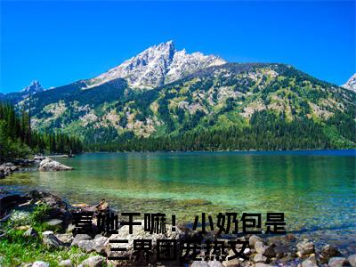 金宝小说（惹她干嘛！小奶包是三界团宠）全文在线阅读无弹窗大结局金宝