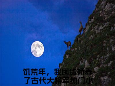 叶苜苜（饥荒年，我囤货娇养了古代大将军）全文免费阅读无弹窗大结局_饥荒年，我囤货娇养了古代大将军（叶苜苜免费阅读）_笔趣阁