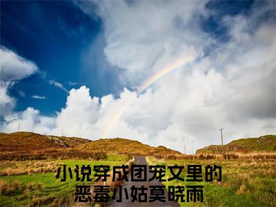 穿成团宠文里的恶毒小姑莫晓雨免费阅读，主角为穿成团宠文里的恶毒小姑莫晓雨的言情小说