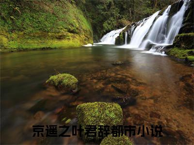 京遥之叶君辞小说美文赏析-京遥之叶君辞全文免费大结局