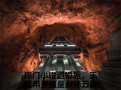 退婚后，王妃带崽嫁皇叔林云汐全集小说完整版大结局-小说退婚后，王妃带崽嫁皇叔林云汐全文完整版免费阅读