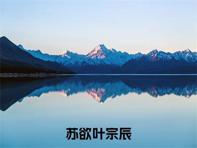 苏欲叶宗辰小说(苏欲叶宗辰)全文免费阅读无弹窗大结局_(苏欲叶宗辰免费阅读全文大结局)最新章节列表_笔趣阁（苏欲叶宗辰）